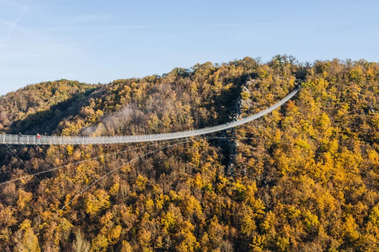 Die Geierlay Hängebrücke