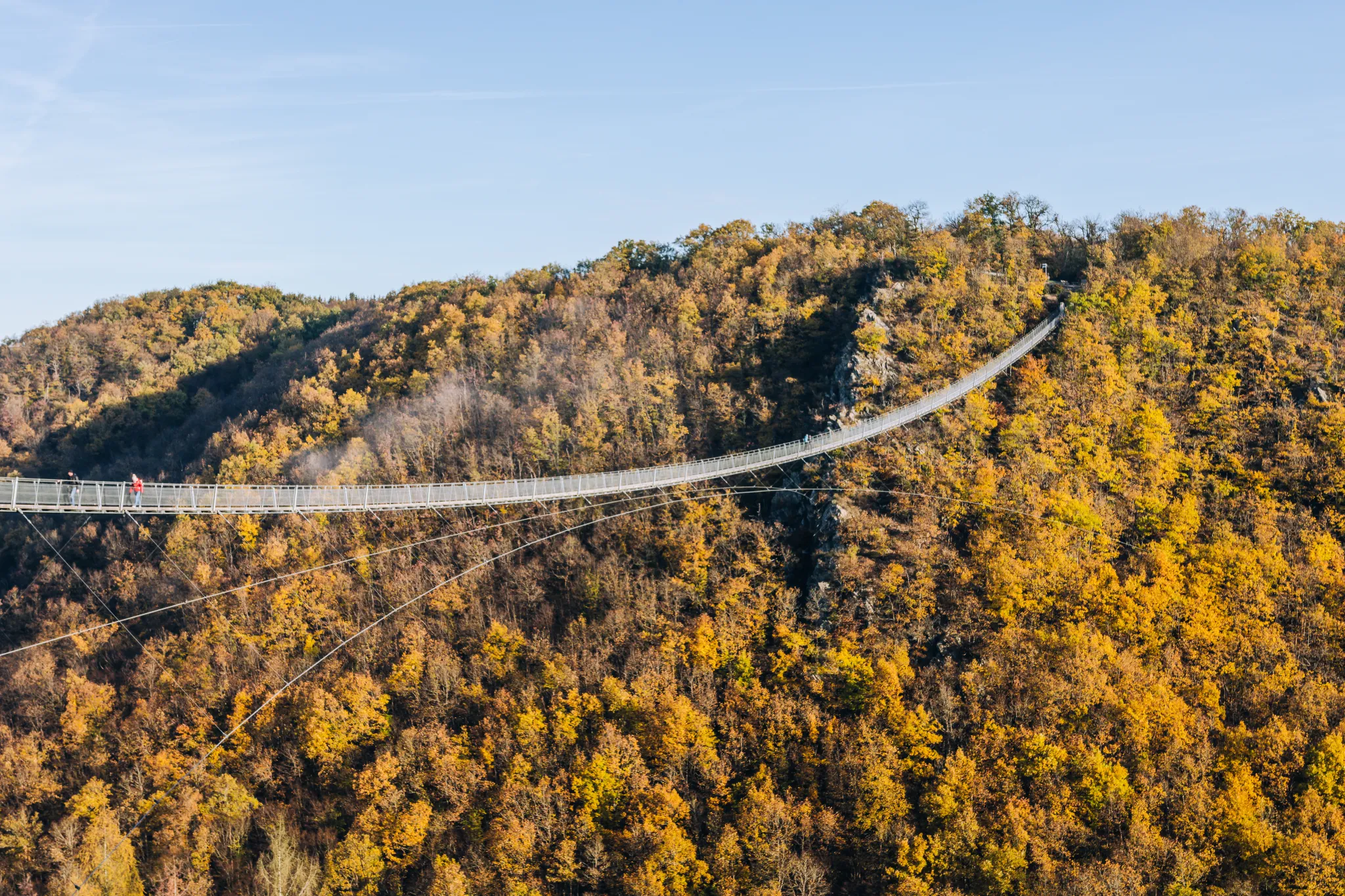 Die Geierlay Hängebrücke